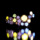 K18PG 0.54ct }`J[_Ch O
