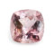 sNg}NbV1.7ct