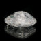�������� 5.02ct �I�[�o��