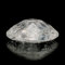 ��������  4.43ct �I�[�o��