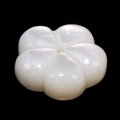 希少 特大 白蝶貝 天然真珠 標本 ルース 加工前 見本 本物 マベパール Yahoo!オークション -「白蝶貝 貝殻」(アンティーク