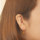 �y���h�b�g�u�ق���ԁv
