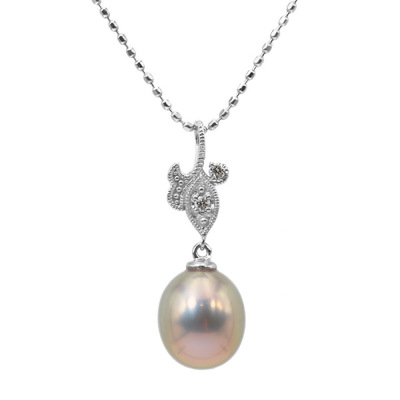 ������J���[�̒W���^��y���_���g�g�b�v