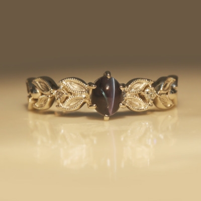 PT900 �A���L�T���h���C�g �����O