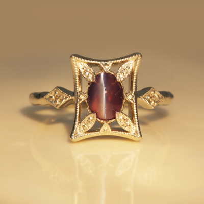 PT900 �A���L�T���h���C�g �����O