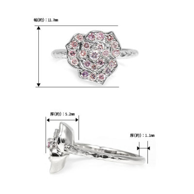 数量限定 PT900「ピンクローズ」PinkRose スチールピンク