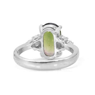 限定1本 PT900 2.54ct バイカラートルマリン 0.183ct ダイヤモンド