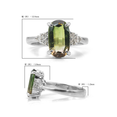 限定1本 PT900 2.54ct バイカラートルマリン 0.183ct ダイヤモンド