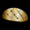 �I�[�� �G�A���[�`�F�b�N ���^�� �����O